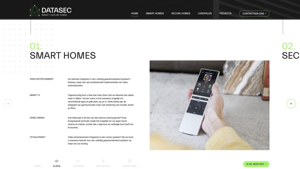 Datasec website - ontwerp en code - Castaar