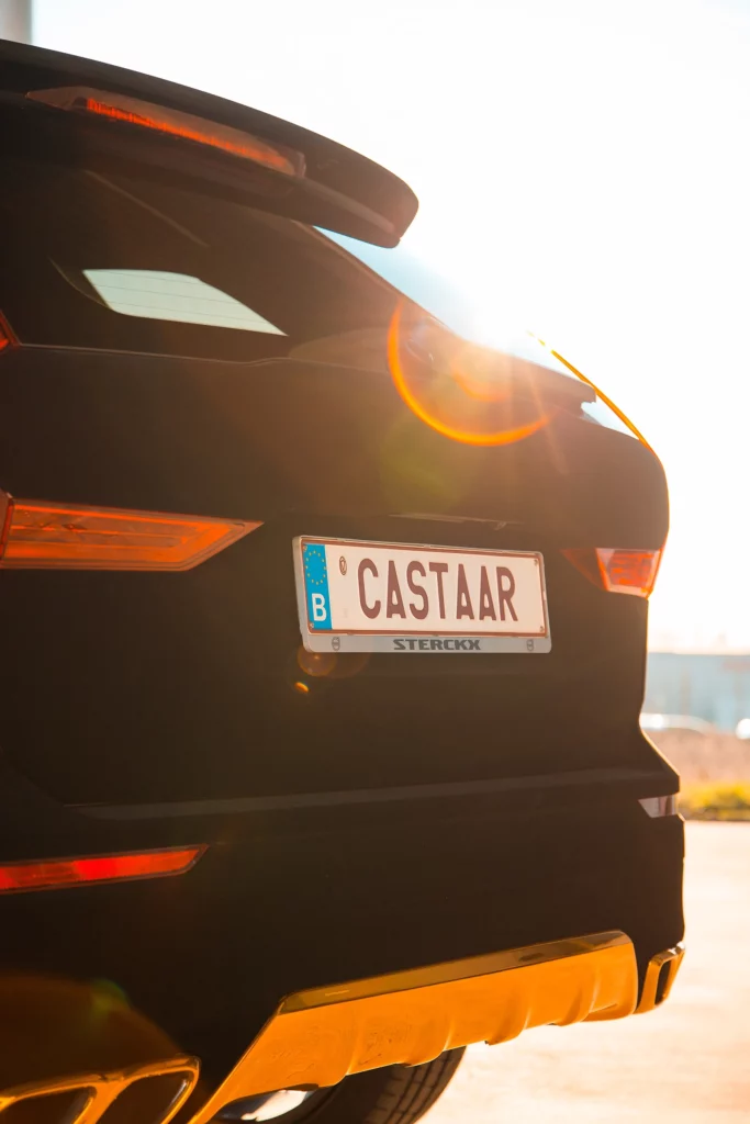 Castaar velvet car wrapping