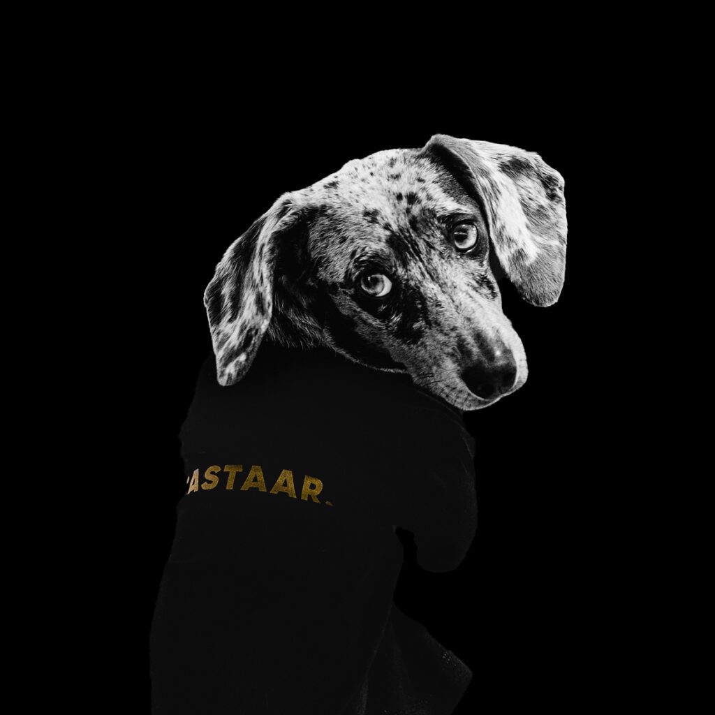 Team Castaar Odette Edit hard