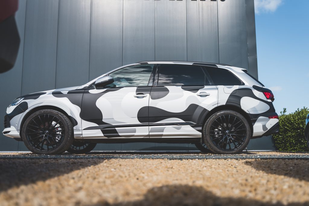 Castaar Camo Car of Chameleon 5