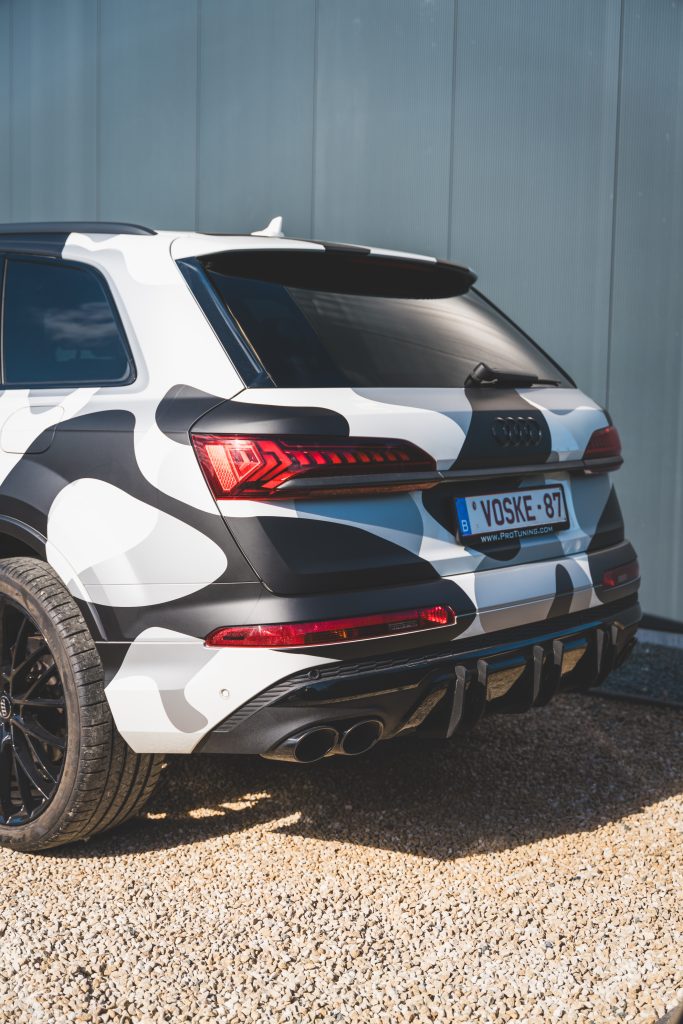 Castaar Camo Car of Chameleon 6