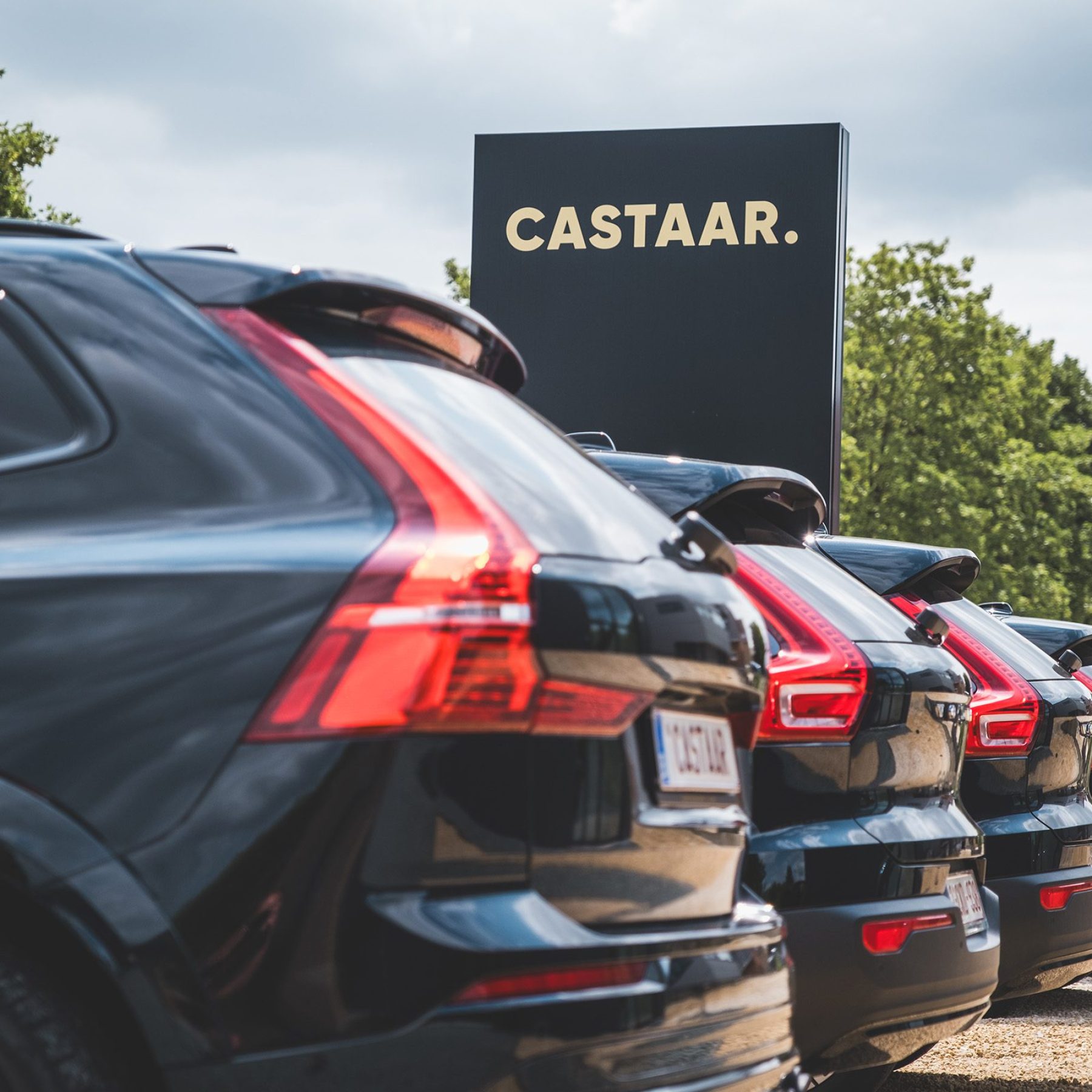 Castaar wagens gouden letters