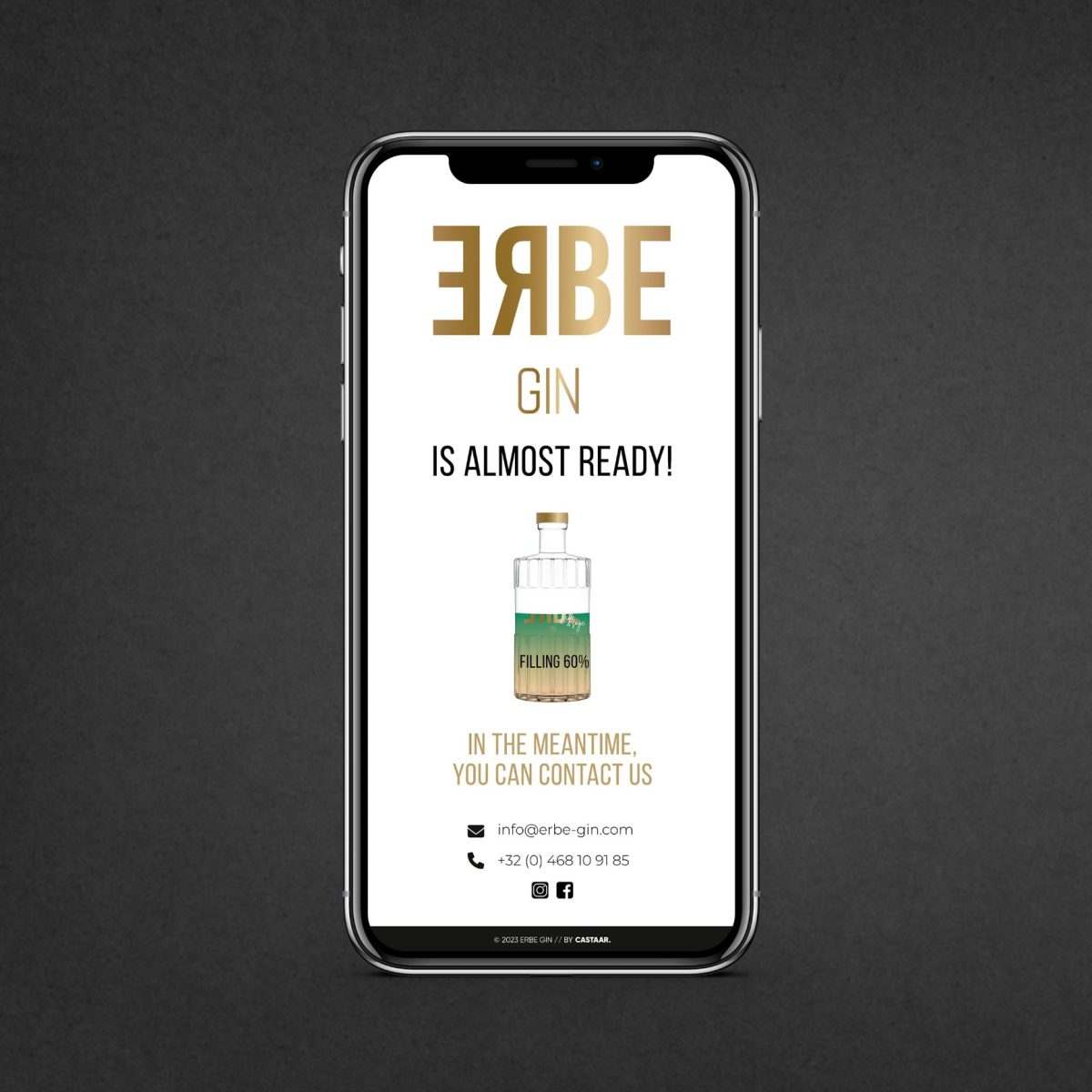 Ontwerp Erbe Gin website door Castaar developers