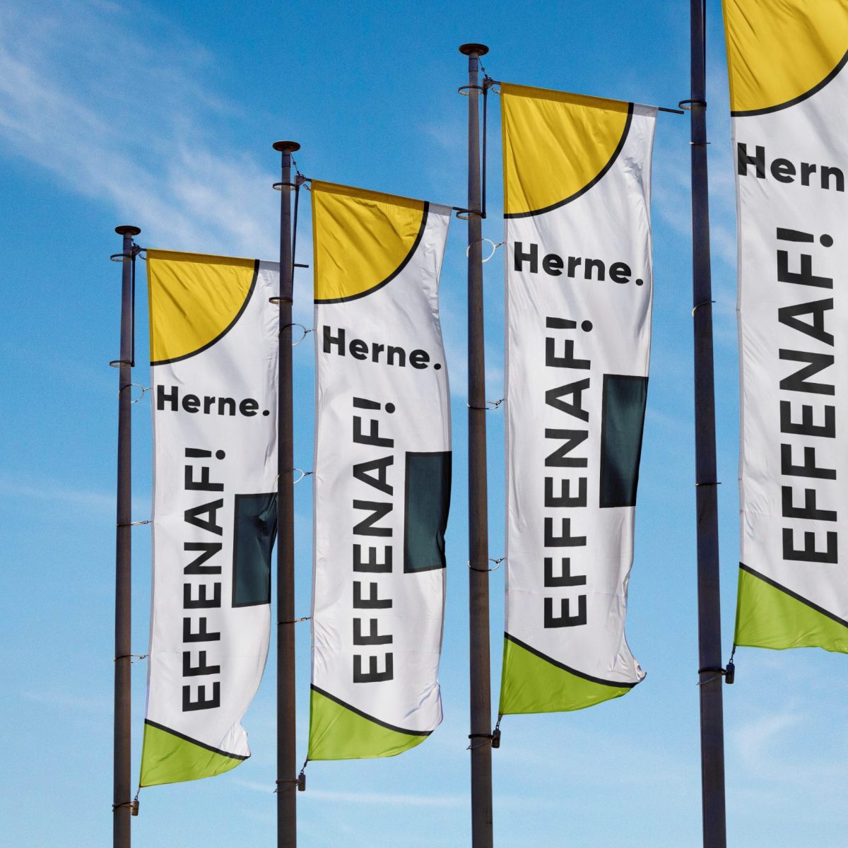 Vlaggen gemeente gooik ontwerp